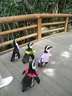 2011_08301062.jpg