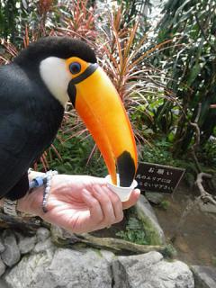 2011_08301068.jpg