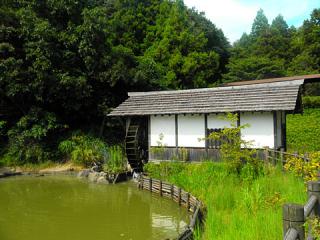 2011_08301081.jpg