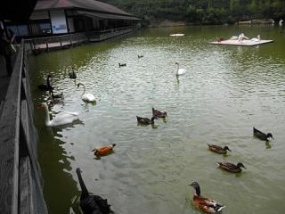 2011_08301092.jpg