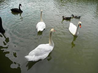 2011_08301094.jpg