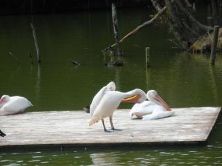 2011_08301097.jpg