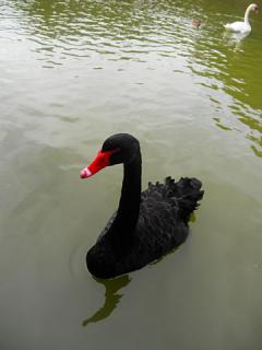 2011_08301099.jpg