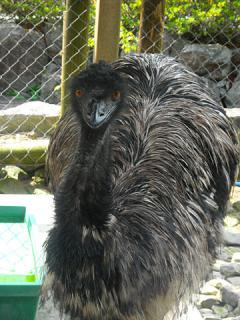 2011_08301126.jpg