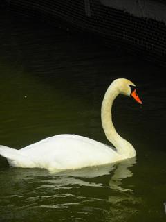 2011_08301138.jpg