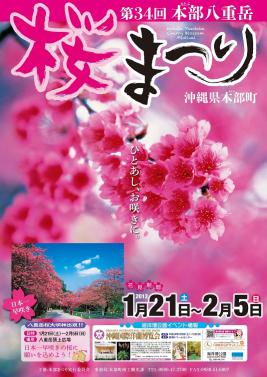 sakura34.jpg