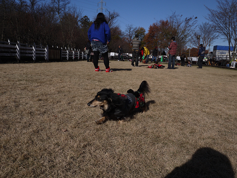 resize1916_20141211162324c7d.jpg