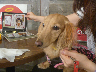 resize6418.jpg