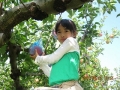 K子ちゃん