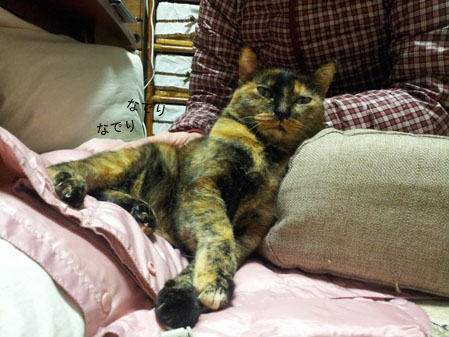 20130217_212428のコピー