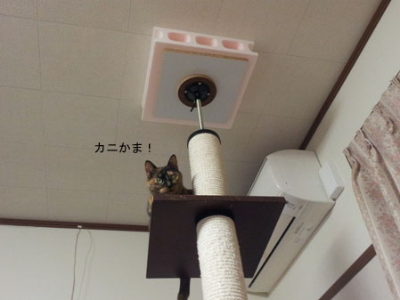 20130302_224840のコピー