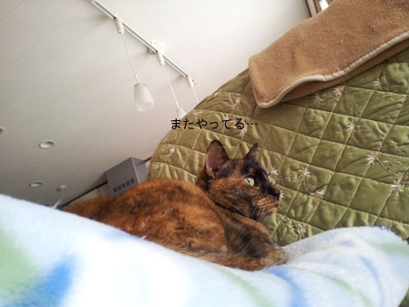 20130305_102340のコピー