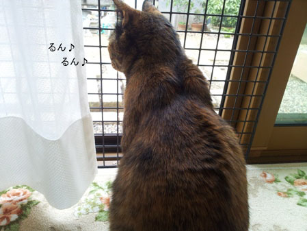 20130308_155823のコピー