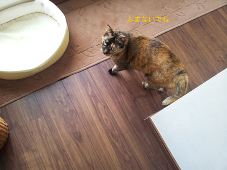 20130309_152000のコピー