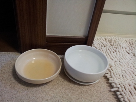 20130312_125007.jpg