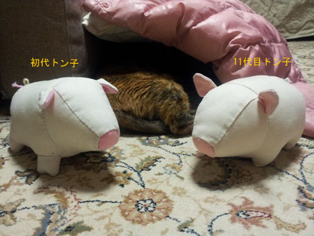 20130313_192734のコピー