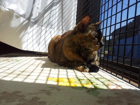 20130315_121102.jpg