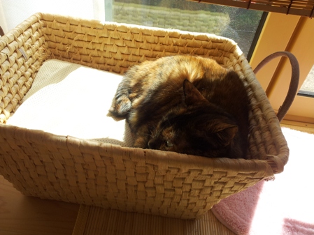 20130315_124406.jpg