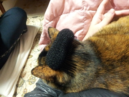 20130315_233823.jpg