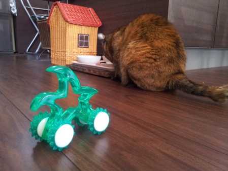 20130321_130442.jpg