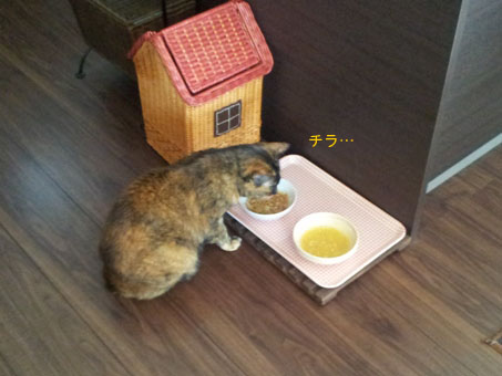 20130322_122944のコピー