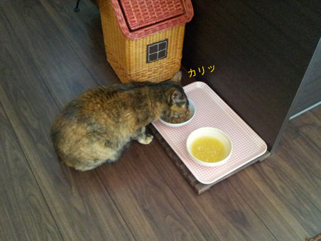20130322_122858のコピー