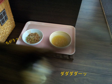 20130322_120833のコピー