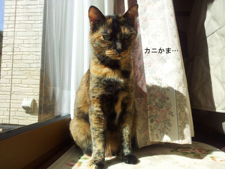 20130322_093502のコピー