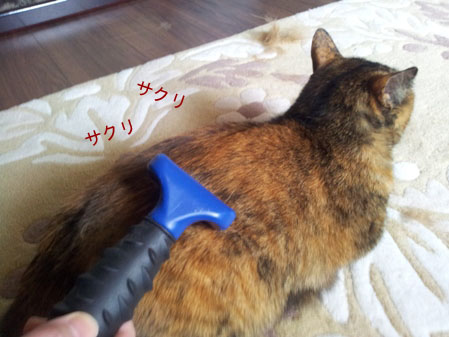 20130323_140755のコピー