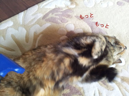 20130323_140806のコピー