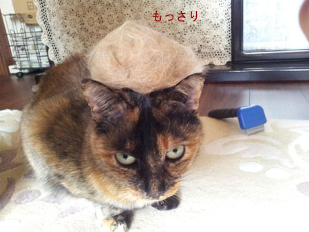 20130323_141758のコピー