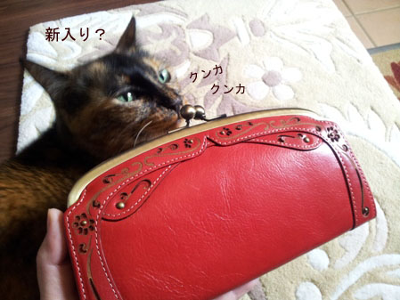 20130326_112752のコピー