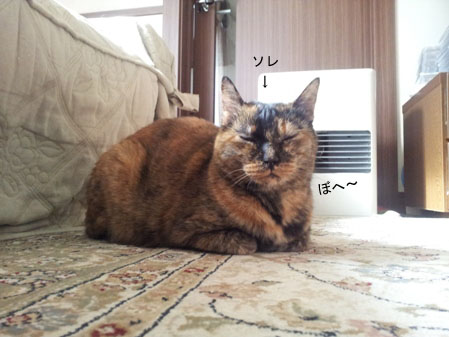 20130214_100739のコピー