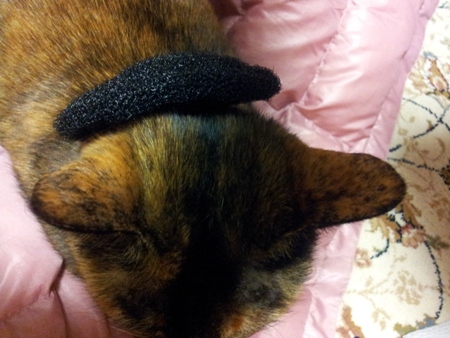 20130402_225405.jpg