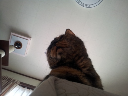 20130407_132635.jpg