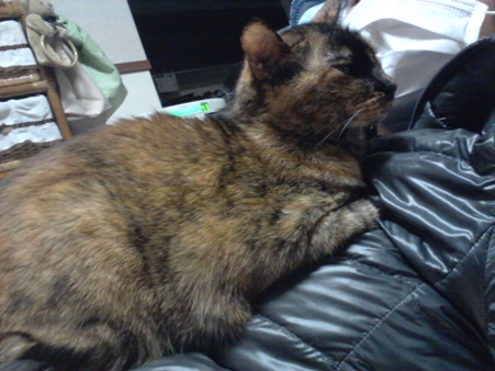 20130407_221032.jpg