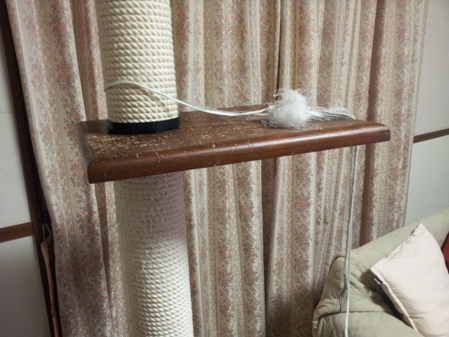 20130408_225546.jpg