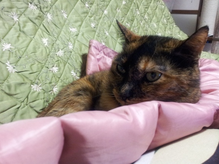 20130410_232500.jpg