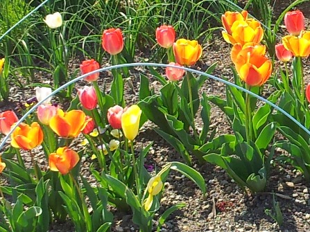 20130413_144757.jpg