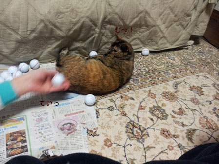 20130414_222946のコピー