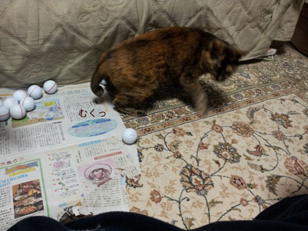 20130414_222951のコピー