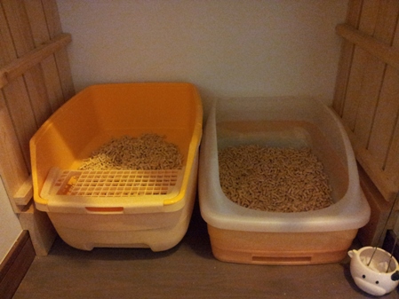 20130417_123604.jpg