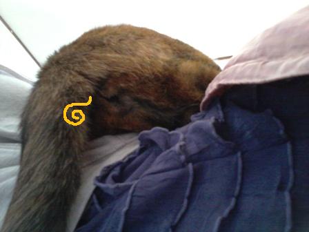 20130419_120950.jpg