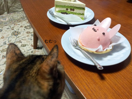 20130420_221933のコピー