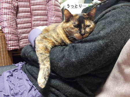 20130420_223415のコピー