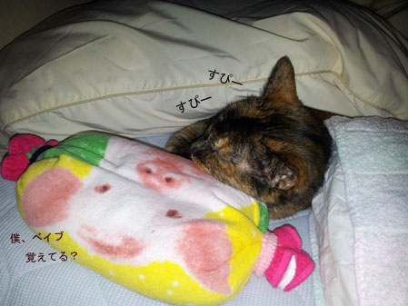 20130421_084844のコピー