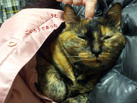 20130423_234520のコピー