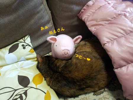20130429_135724のコピー