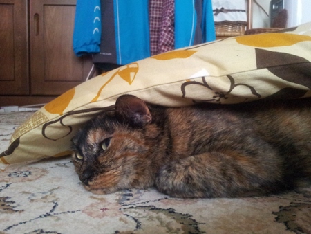 20130430_122650.jpg