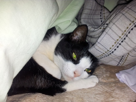 20130501_135639.jpg